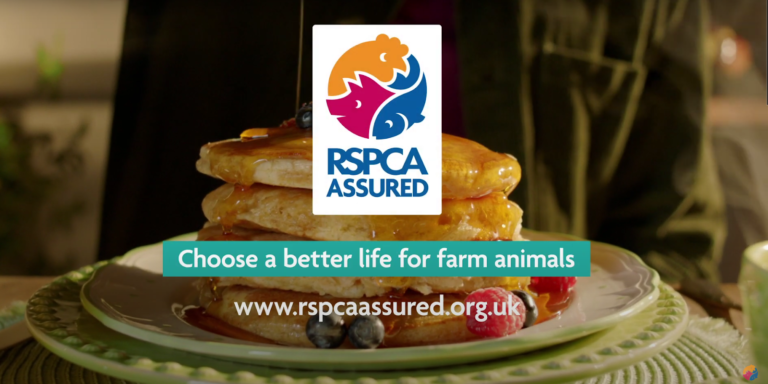 RSPCA highlights hen welfare for Pancake Day