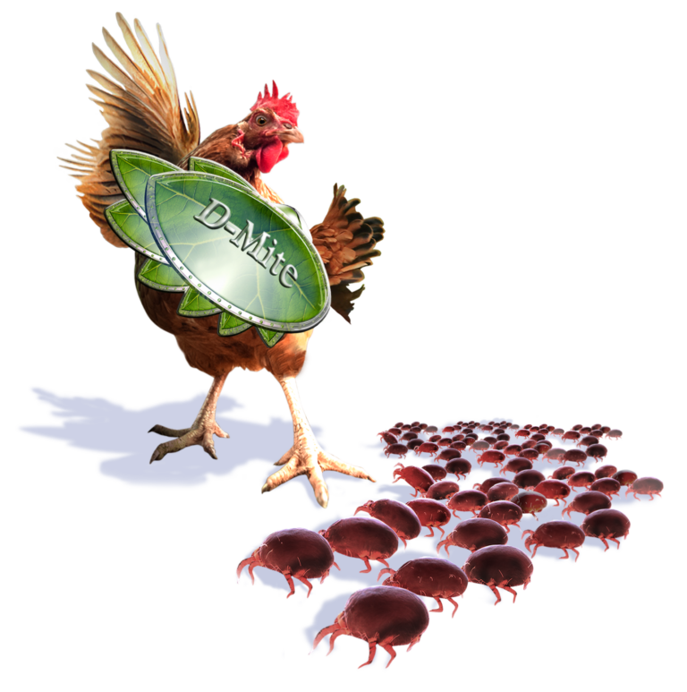 D-Mite your flock!