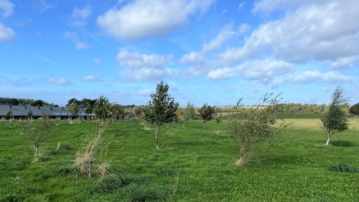 MacLean Eggs shares how it operates profitably, sustainably and at ...