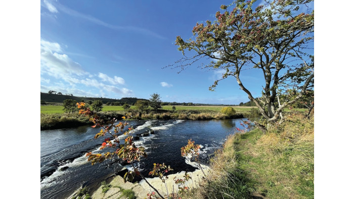 MacLean Eggs shares how it operates profitably, sustainably and at scale