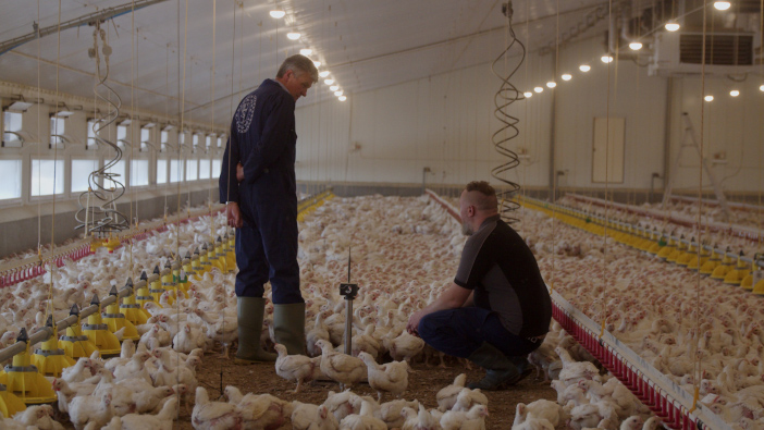 Feature: Technology helps improve margins