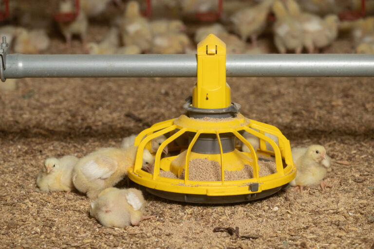 ABN to help cut farm emissions with soya reduction project