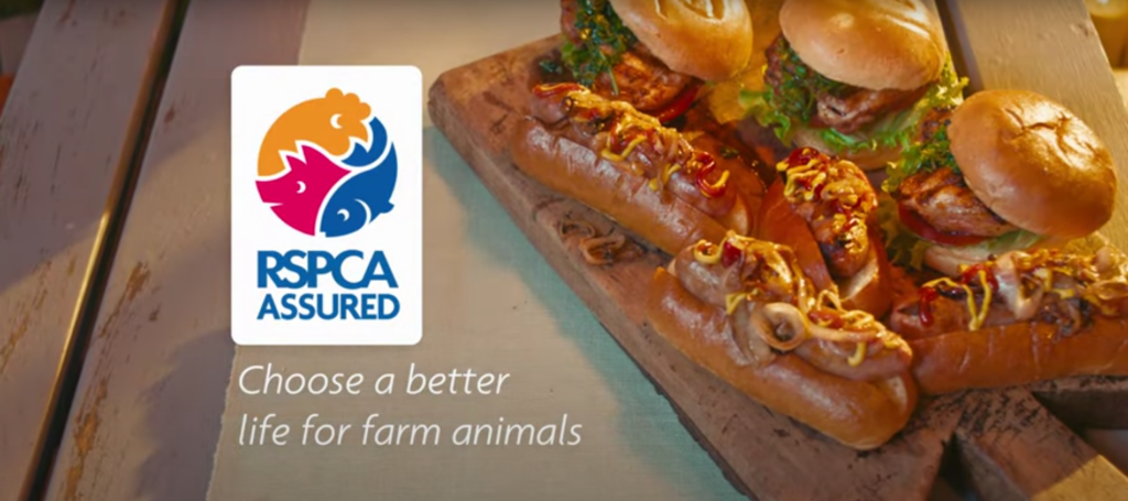 Rspca Assured Launches Barbecue Campaign For Chicken Poultry News