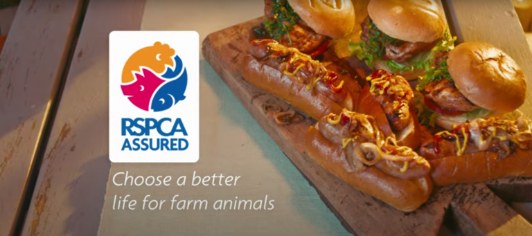 RSPCA Assured launches barbecue campaign for chicken