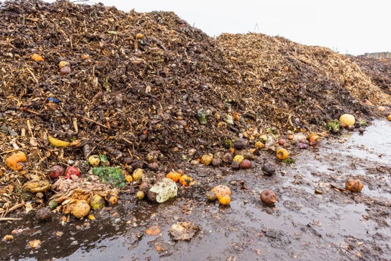Petition launches to reverse food waste move