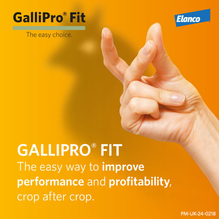Elanco is the exclusive distributor for GALLIPRO® FIT – a probiotic for improved performance