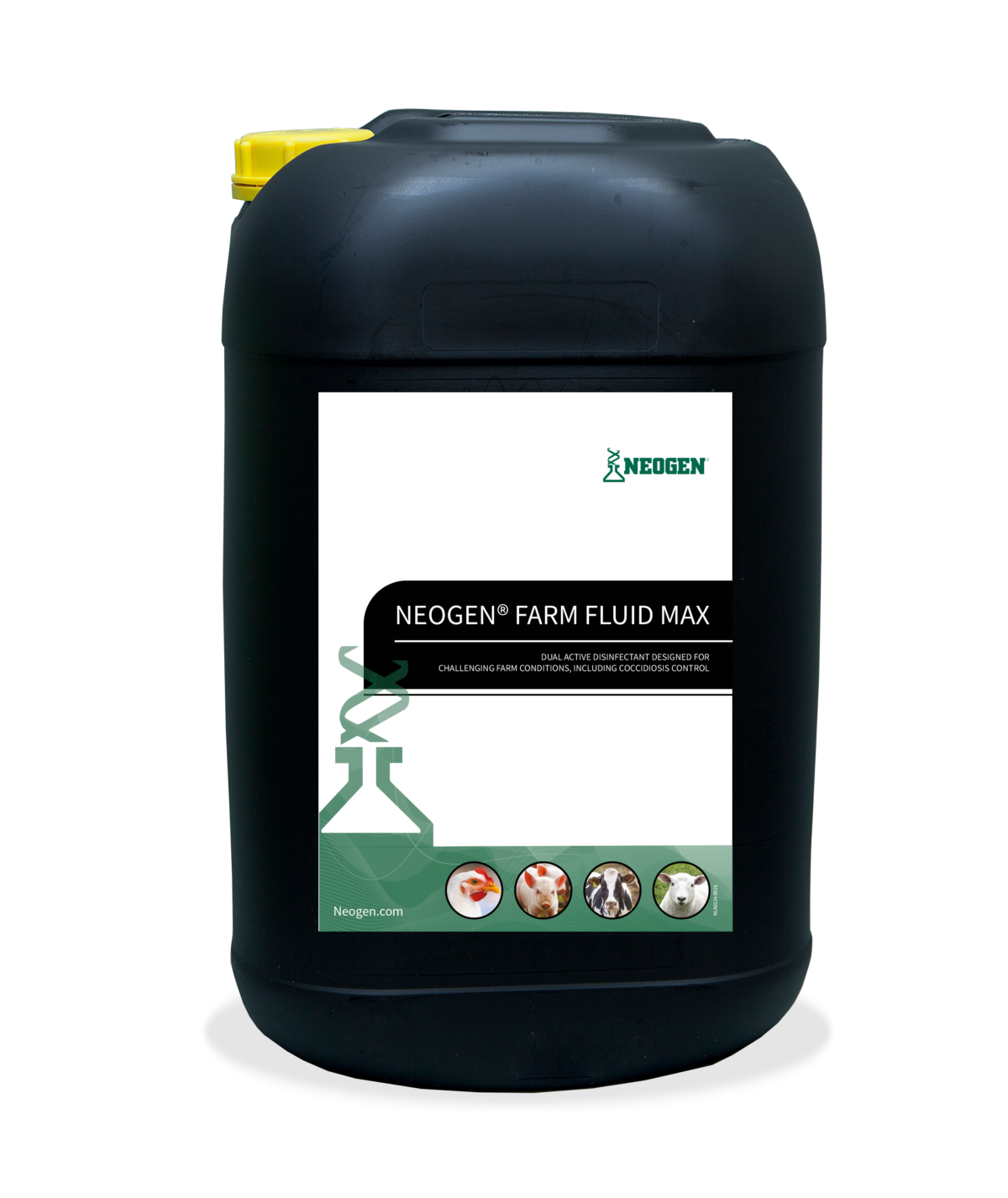 New disinfectant launched for coccidiosis control Poultry News