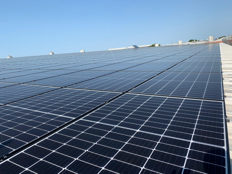 Bird Bros implements over £1million worth of sustainability measures