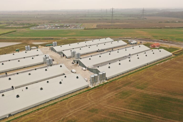 What does the future hold for UK land use?