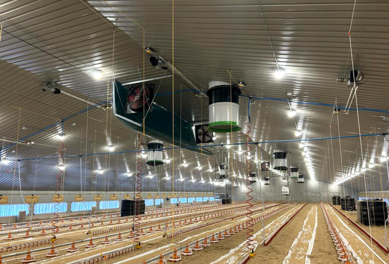 New state-of-the-art broiler site for Hook2Sisters