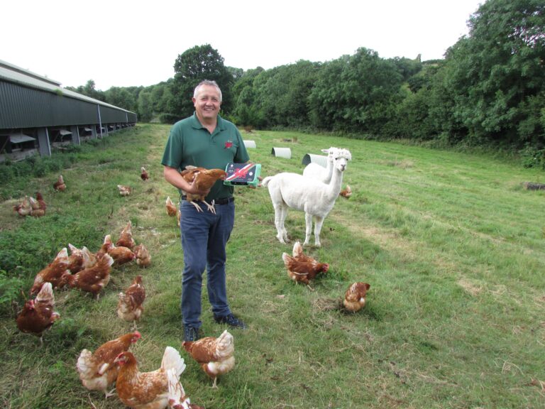 Ellis Eggs sold to Welsh poultry farmer