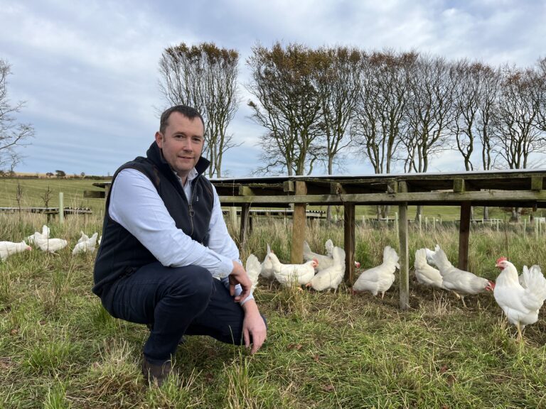 £2.4m investment for Farmlay Eggs