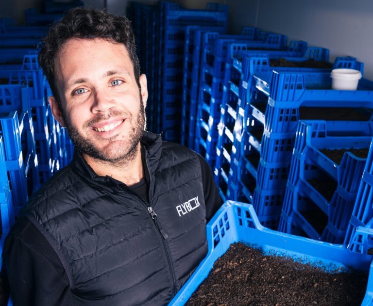 Could modular insect farms be a future poultry diversification?