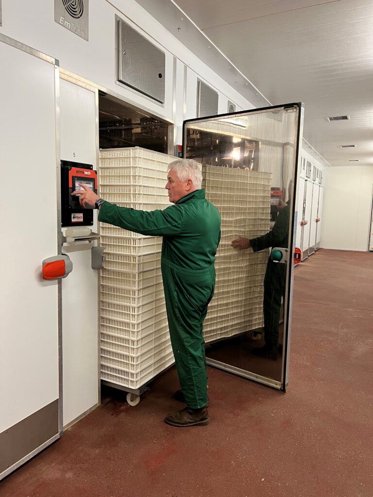 Kelly Turkeys invests in hatchery and processing plant