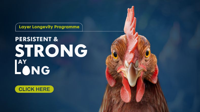 Layer Longevity Programme