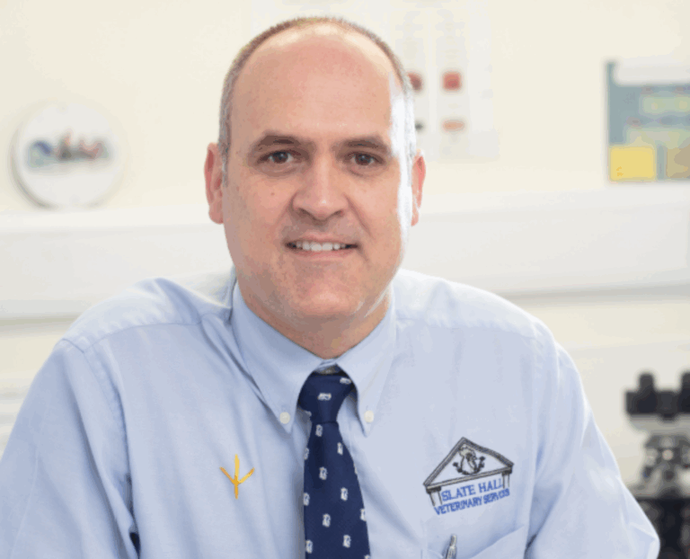 A vet’s perspective on probiotic supplementation in broiler systems