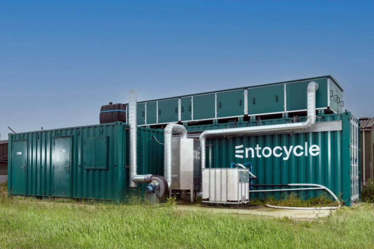 Siemens partners with Entocycle to digitalise insect farming industry