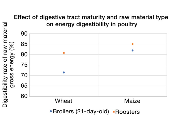 Graph 1. Raw material digestibility trial results for 21-day-old broilers and adult cockerels.