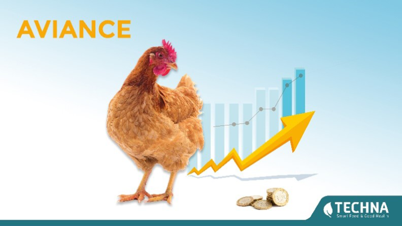 Can Aviance improve production and shell quality in full laying cycle?