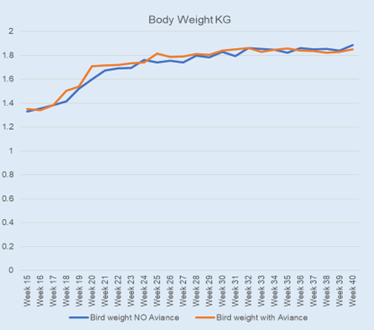 In Fig 2 we can see that bodyweight showed a 32g Ave improvement in weekly weights. This was especially noticeable in the data at peak production from 25 to 30 weeks. 