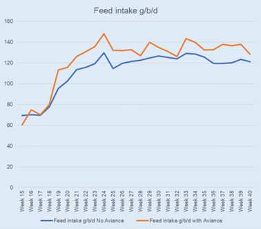 Feed intake measured in g/b/d in Fig 1. This was significantly higher in the birds with Aviance against the control. 