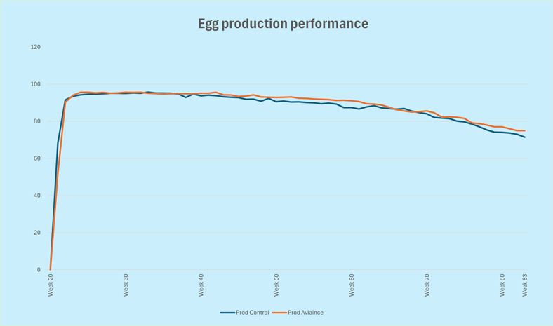 Fig 5 Performance