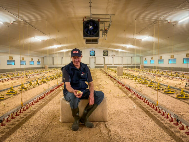 Attention to detail drives success on Lancashire broiler farm