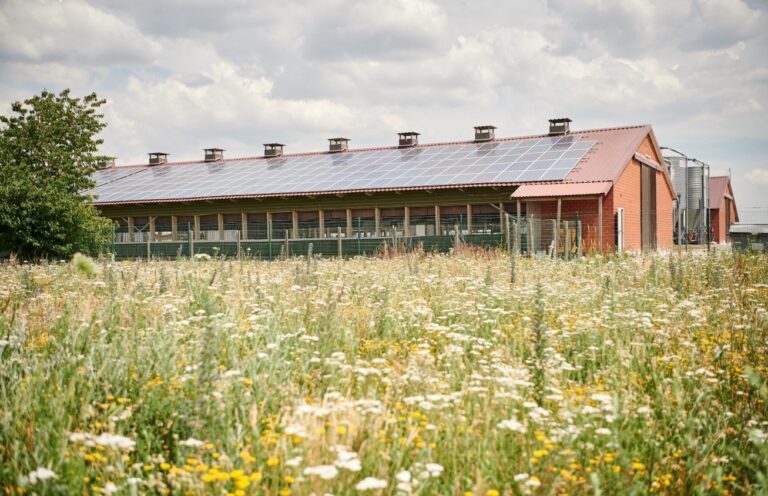 Ranjit Boparan acquires German poultry processor