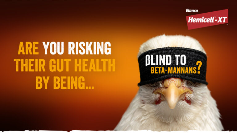Are you risking their gut health by being blind to beta-mannans?