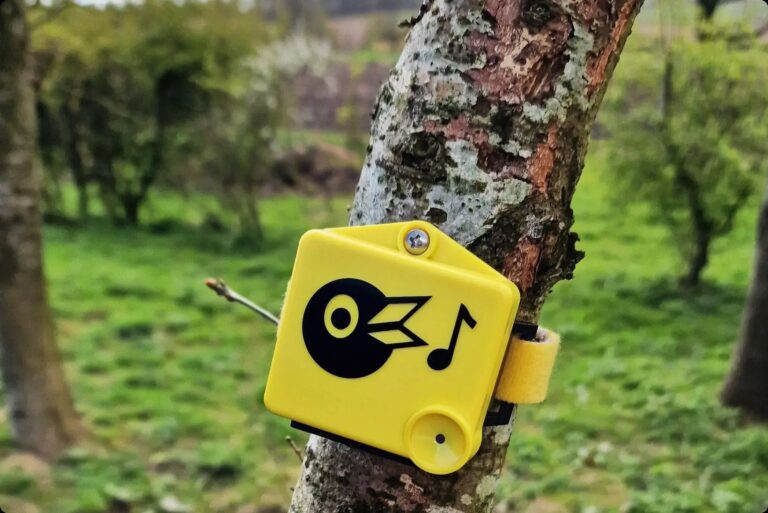 Pilgrim’s Europe trials birdsong technology to measure biodiversity