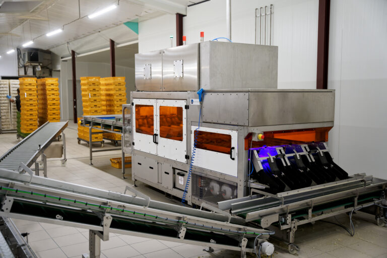 Gender sorting: A strategic lever for UK poultry producers