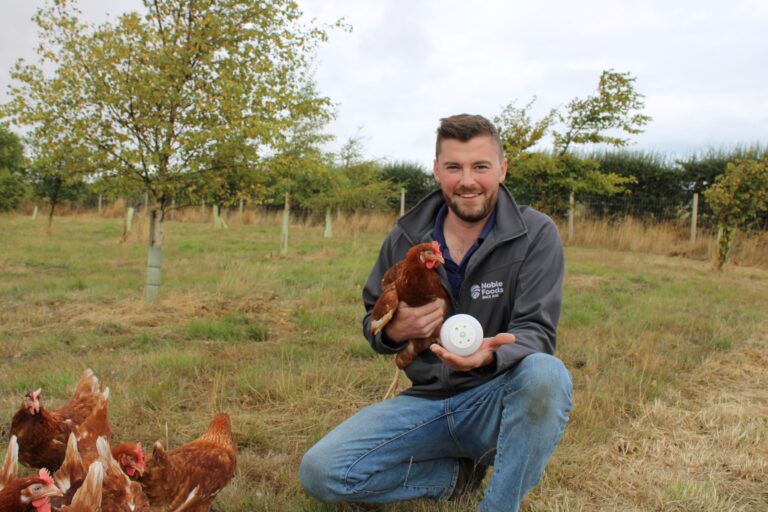 Noble Foods launches pioneering trial to monitor laying hen welfare