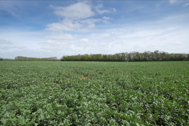 Soil to Sustainability conference to stress pulse potential