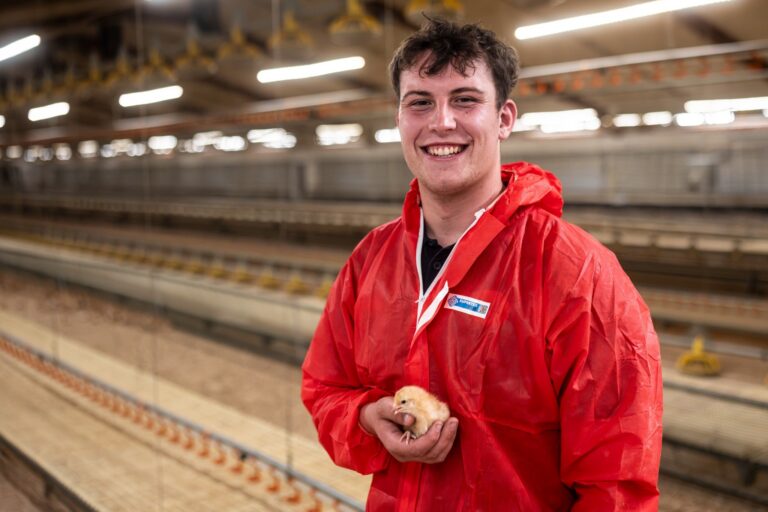 Farmlay Eggs appoints trainee agricultural operations manager